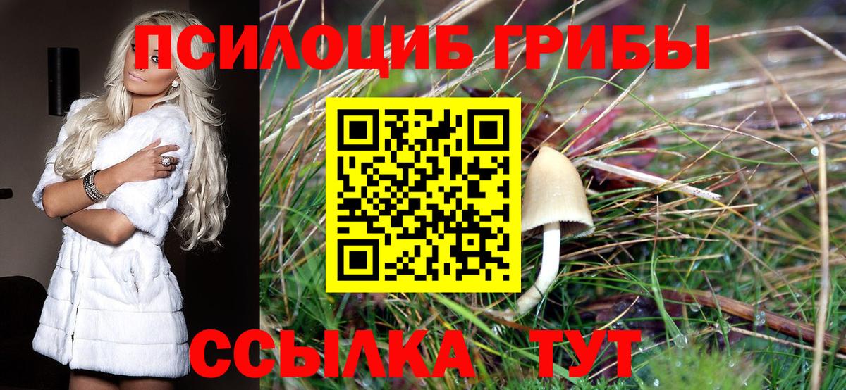 КОКАИН  МЕТАМФЕТАМИН  Каннабис  Михайловск  Альфа ПВП СК кристаллы  Мефедрон   ГАШ  Вход с VPN 