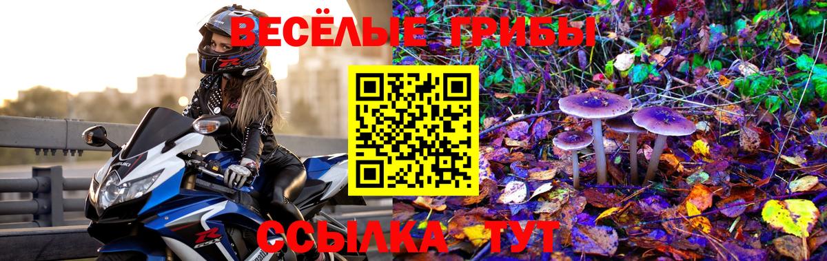 купить   Псилоцибиновые грибы MAGIC MUSHROOMS  Вход с VPN  Михайловск 