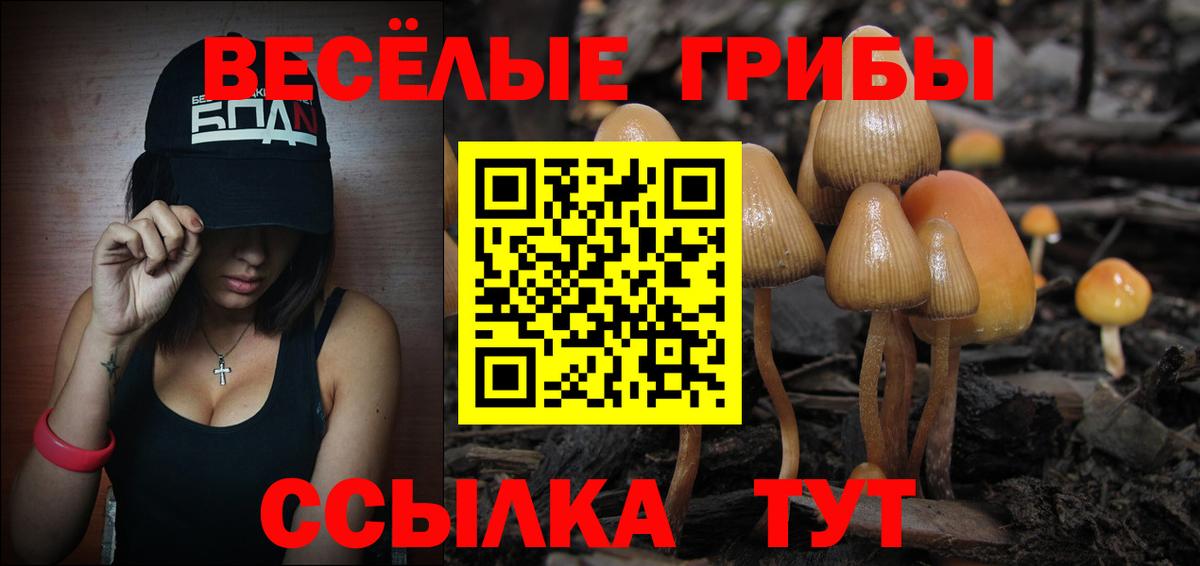 Псилоцибиновые грибы Cubensis Михайловск