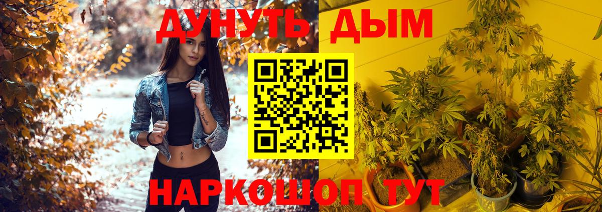 Бошки Шишки план  Вход с VPN  Канабис марихуана  Михайловск  Каннабис SATIVA & INDICA 